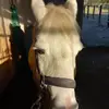 Anna Hühn - @anna.hhn3 - TikTok