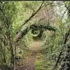 annahuhn546 - @annahuhn546 - TikTok