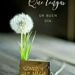 Anna Morales Huitzil - @annamorahui - Instagram