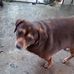 Anna Hullinger - Facebook