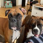 Anna Hulme - @annaorsbourn - Instagram
