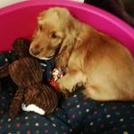 Anna Hulme - @hulme.anna - Instagram