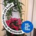 Anna hunter - Facebook