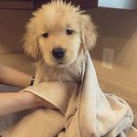 Anna Hutcherson - @annahuterson - Instagram