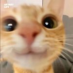 황예지 - @anna_hwangyeji - Instagram