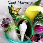 Anna Ingle - Facebook
