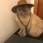 Anna Ingle - @anna.ingle.7 - Instagram
