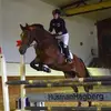 Anna Jacobsson540 - @an_jac - TikTok