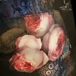 Anna Jacobsson - @jacobsson6801 - Instagram