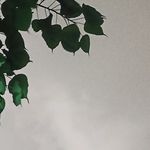Anna Jaffery - @_anna.jaffery0 - Instagram