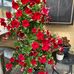 Anna Jakobsen - Facebook