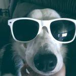Anna Jamison - @annajamison526 - Instagram