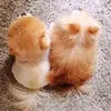 annajohn - @annajohn5378 - TikTok