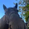 anna.jump - @anna.jump - TikTok