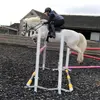 ❤️🤍💙Annalise💙🤍❤️ - @annalise.showjump - TikTok