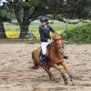 les poney et anna - @annaa.jump - TikTok