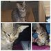 Anna Jurado - Facebook