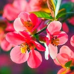 @_anna_keep - Instagram