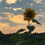 Anna Keeter - @perry4657 - Instagram