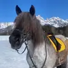 Anna Keil - @annakeil04 - TikTok