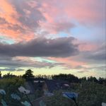 Anna Kemper - @kemper2406 - Instagram