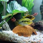 Anna Kenyon - @anna.kenyon.58 - Instagram