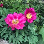 Anna kiely - @mrskielyatschool - Instagram