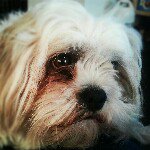 Anna Kimberley - @annakim2002 - Instagram