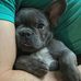 Anna Klemm - Facebook