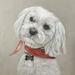 Anna Kostka - @anna_kostka_art - Instagram