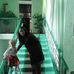 Anna Kovach - Facebook