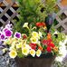 Anna Kozma - Facebook