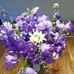Anna Kozma - Facebook