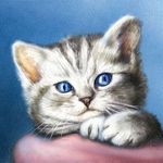 Anna Kozma - @ihggcbhg - Instagram