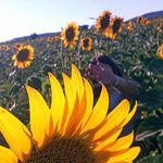 Anna Maria Kozma - @nume_nu_egzista_0 - Instagram