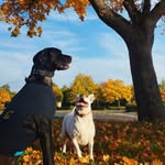 Anna Kranz - @anna_k_2210 - Instagram