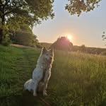 Anna Kranz - @anna_kranz._ - Instagram