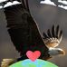 Anna Krause - Facebook