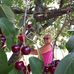 Anna Kunze - Facebook