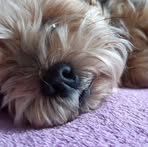 Anna Kwak - Facebook