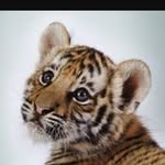 AnnaKwak - @annakwak1441 - Instagram