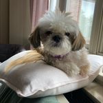 Anna lackey - @lackey3482 - Instagram