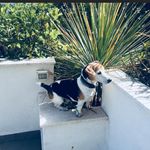 Anna La Corte - @annalacorte80 - Instagram