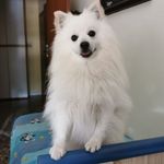 Anna Lacorte - @lacorte263 - Instagram