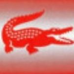 Lacoste Annaba - @lacoste_annabia - Instagram