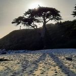 Anna LaCourt - @amlacourt13 - Instagram