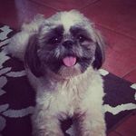 Anna Lacson - @annabelle_arceo_lacson - Instagram