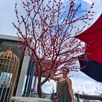 Anna S. Lacson - @jhatan - Instagram
