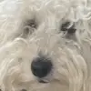 Anna Nicola Ladas - @annanicolaladas - TikTok