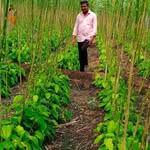 Prathap Annaladasu - @annaladasuprathap - Instagram